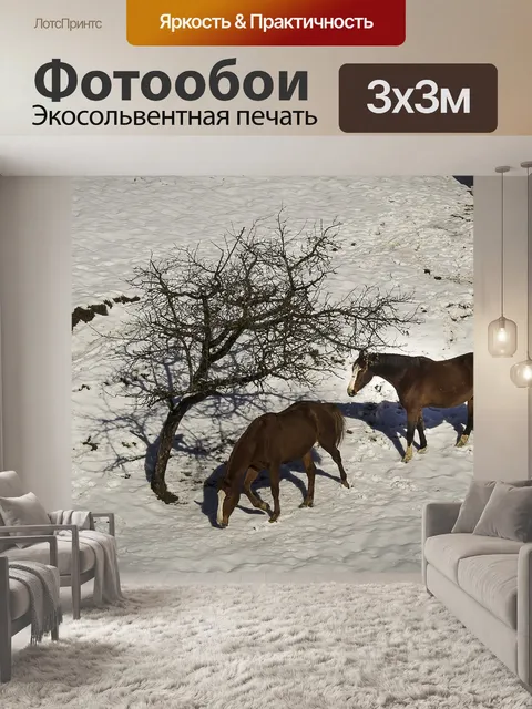 Фотообои Лошади