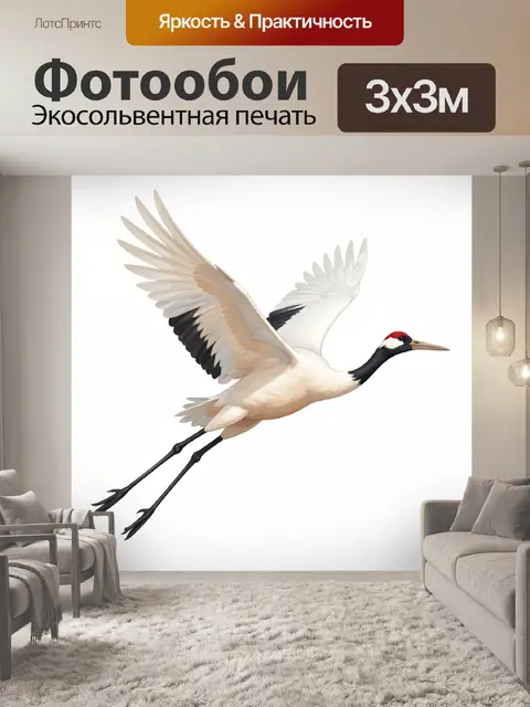 Фотообои Журавль в полёте