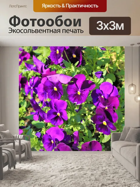 Фотообои Цветы