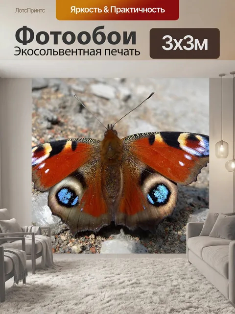 Фотообои Бабочка
