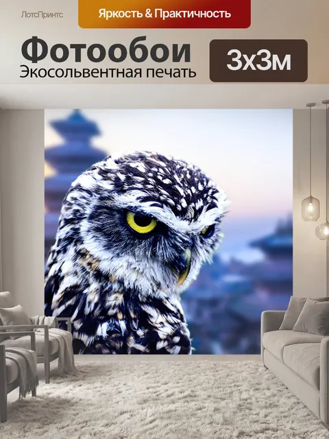 Фотообои Сова