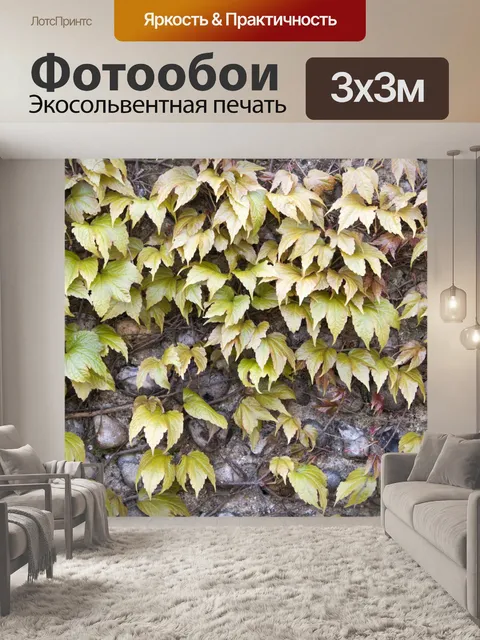 Фотообои Листья предпосылки обои