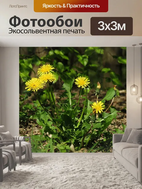 Фотообои Цветы