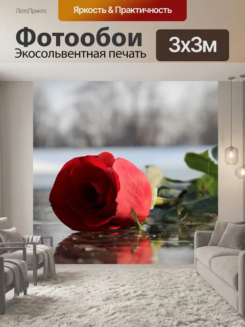 Фотообои Красная роза на льду