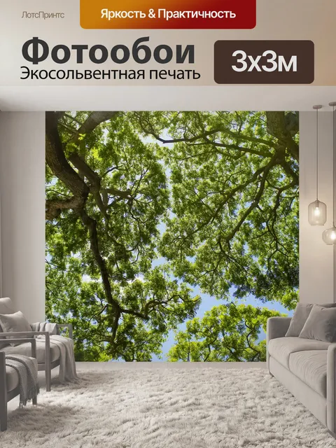 Фотообои Деревья и небо