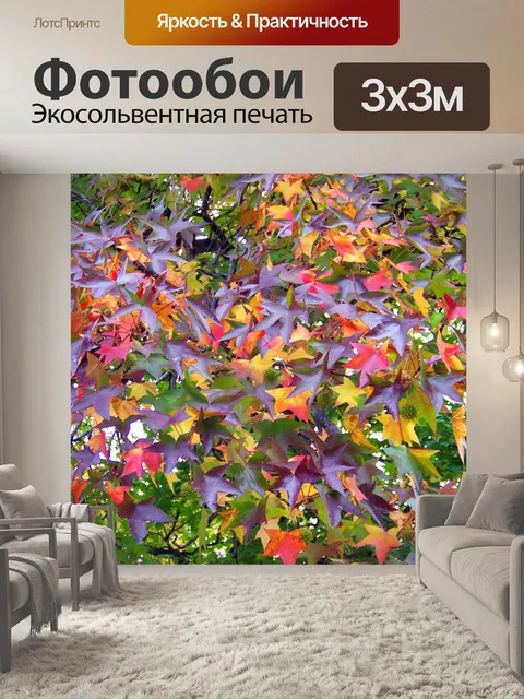 Фотообои Осенние листья