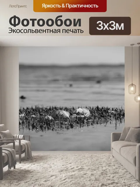 Фотообои Озеро