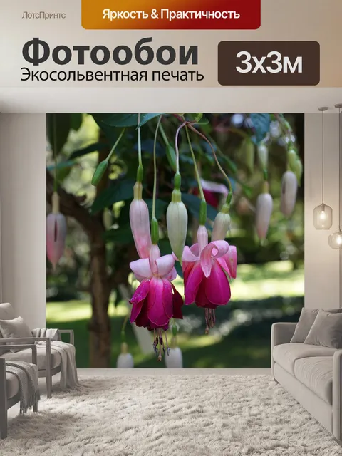 Фотообои Цветок