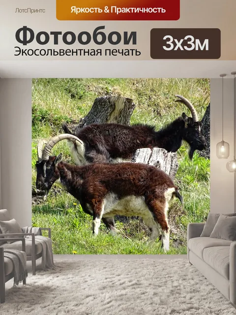 Фотообои Горные козы