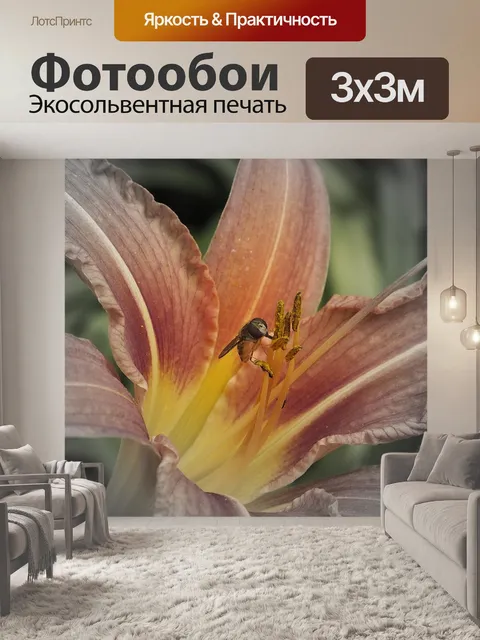 Фотообои Цветы