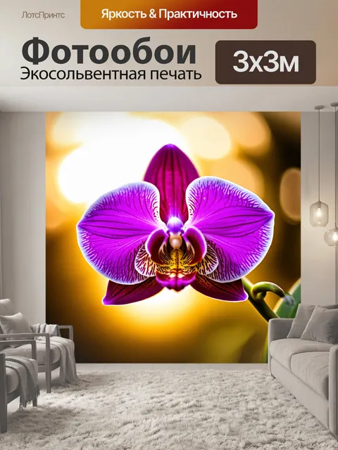 Фотообои фаленопсис с ярко-фиолетовыми лепестками, освещённый мягким светом заката