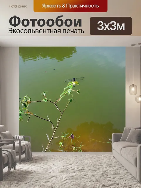 Фотообои стрекозы на берегу озера