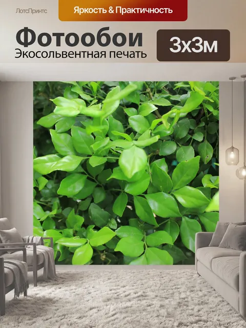 Фотообои Зеленые листья фон