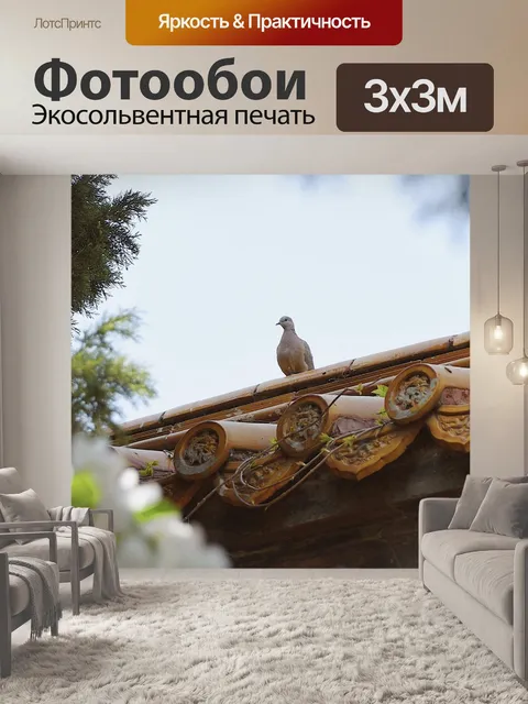 Фотообои Птица