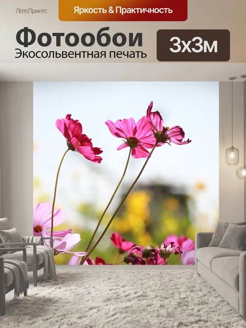 Фотообои Цветок