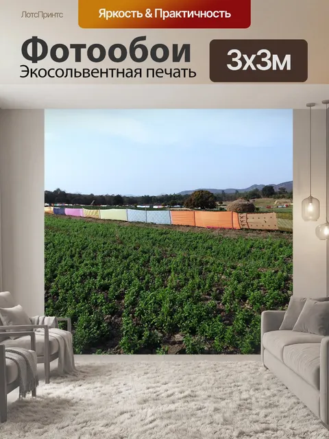 Фотообои Грамм лошади