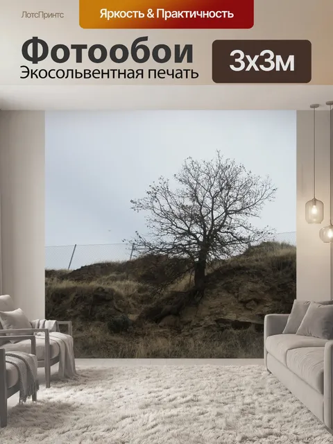 Фотообои Дерево 36