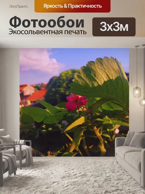 Фотообои Цветы