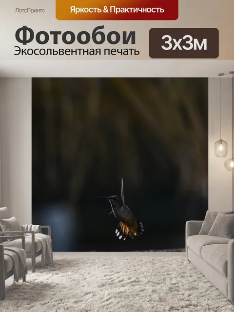 Фотообои Колибри в полете