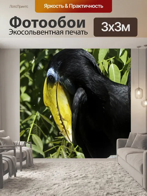 Фотообои Птицы