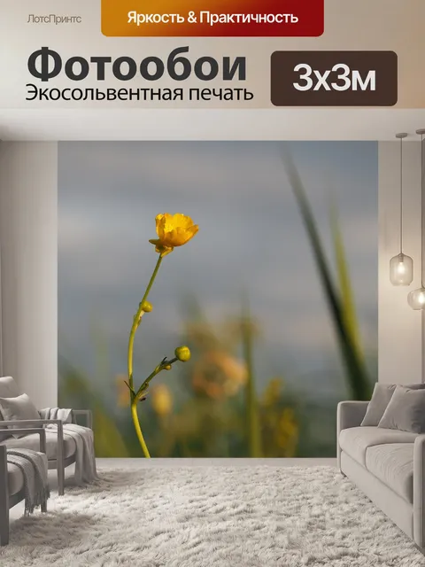 Фотообои Цветок
