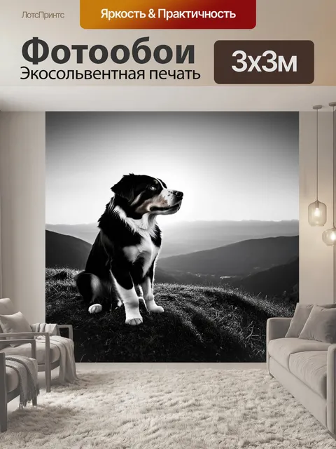 Фотообои бернский зенненхунд, наблюдающий за восходом солнца на вершине холма с видом на долину