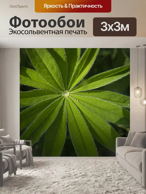 Фотообои Природа