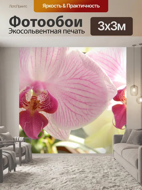 Фотообои Цветок
