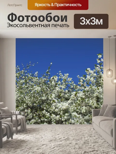 Фотообои Небо