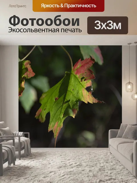 Фотообои кленовый лист
