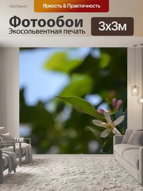 Фотообои Дерево