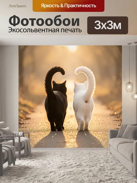 Фотообои Пара кошек на закатном пути