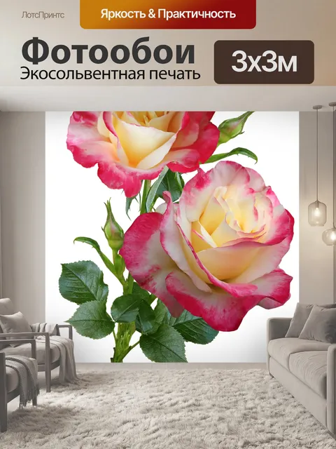 Фотообои Розы