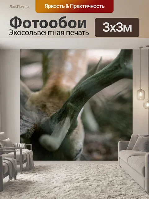 Фотообои Рог