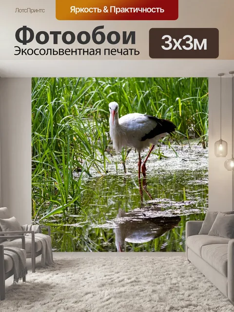 Фотообои Аист