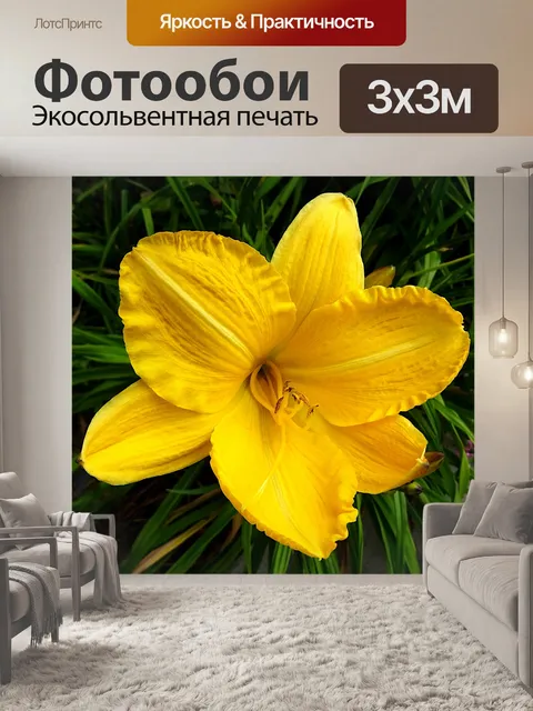 Фотообои Весенний нарцисс в цвету