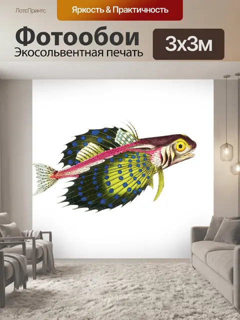 Фотообои Клипарт рыба винтаж нарисованная