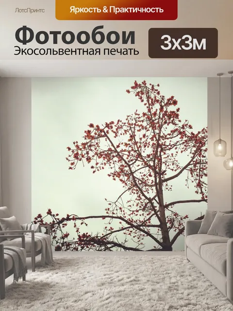 Фотообои Bombax сейба