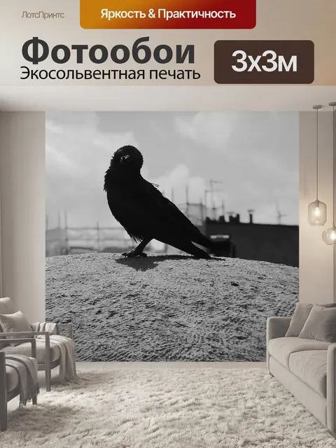 Фотообои Падальщик