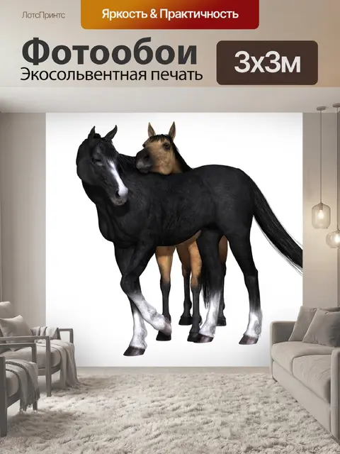 Фотообои Лошадь