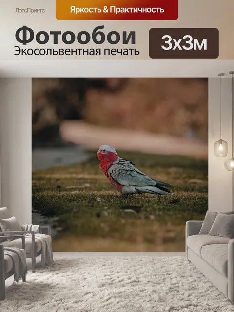 Фотообои Птица