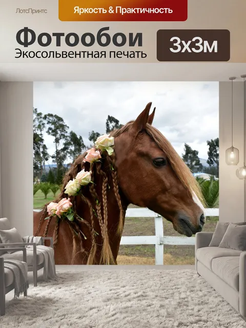Фотообои Лошадь