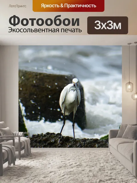 Фотообои Животное