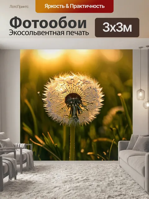 Фотообои одуванчик, покрытый каплями росы рано утром, с золотым солнечным светом, проникающим сквозь листья