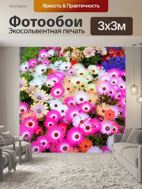 Фотообои Голландские цветы в саду