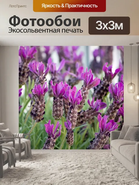 Фотообои Лаванда
