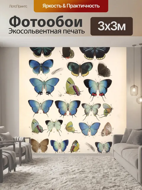 Фотообои Папийон бабочка винтаж старый