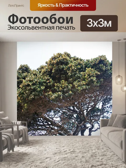 Фотообои прибрежное дерево с спутанными ветвями