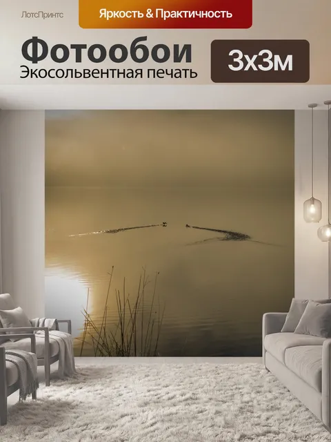 Фотообои Птицы