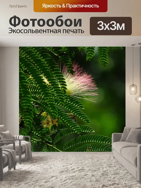 Фотообои Мимоза